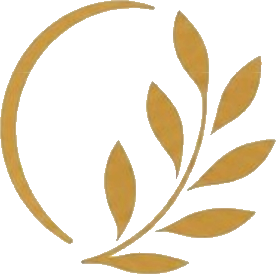 Logo AUDESYLIS Services